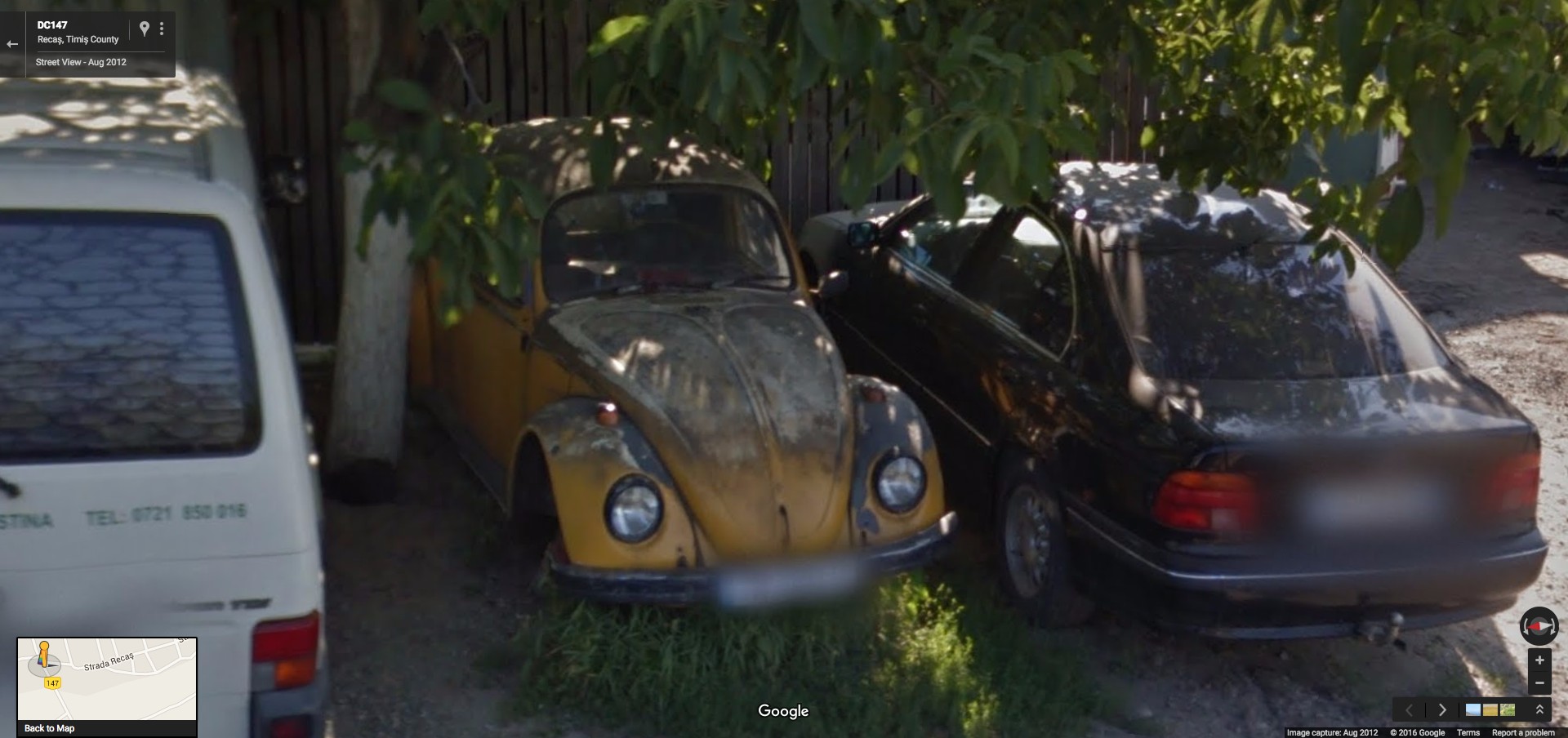 Volkswagen Beetle - Recas (Timis)