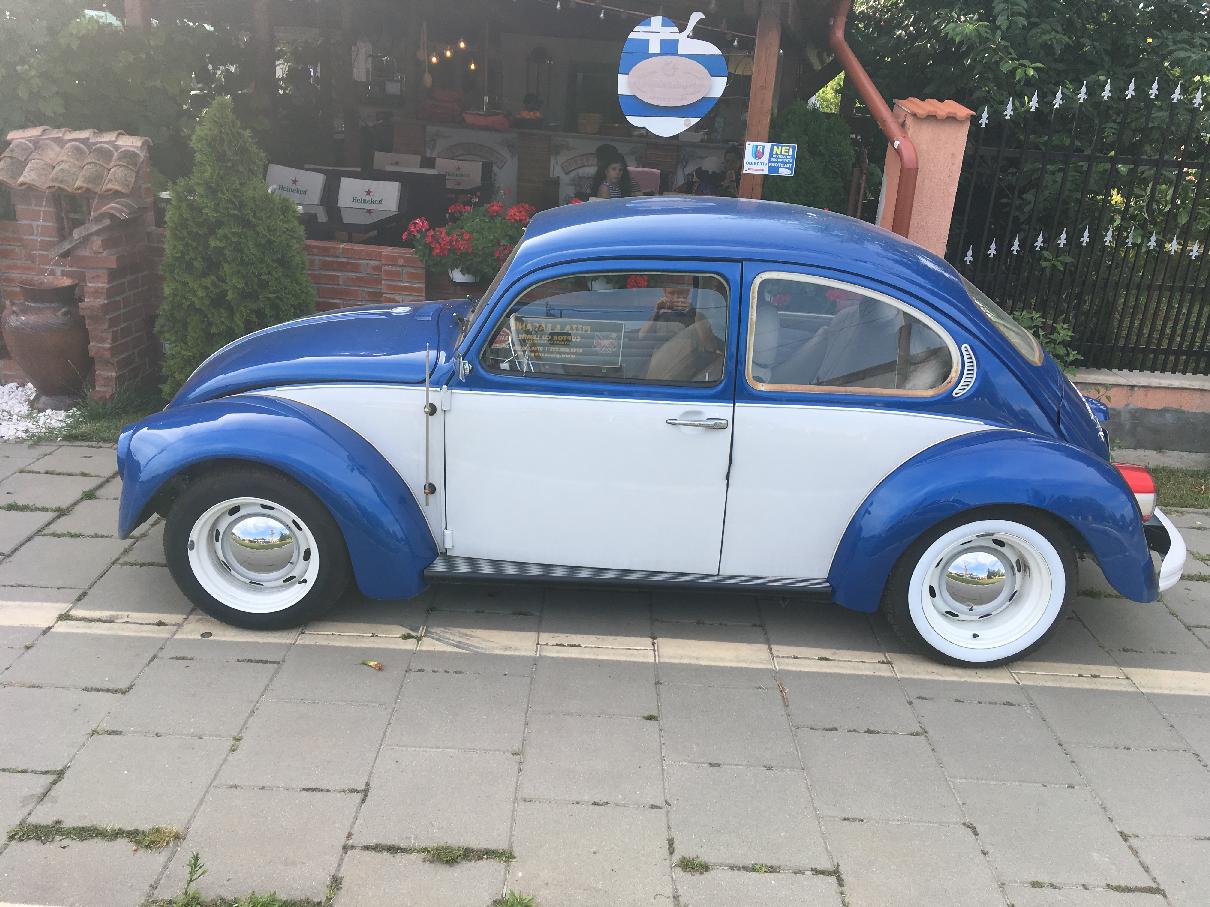 Volkswagen Beetle - Ciofliceni (Ilfov)