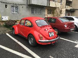 Volkswagen Beetle - Targoviste  (Dambovita)
