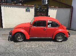 Volkswagen Beetle - Bucuresti  (Bucuresti)