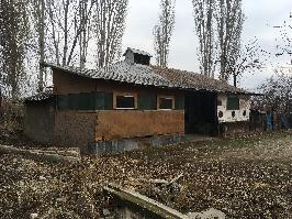 Moara din Fântânele - Prahova (181)