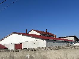 Moara din Optași - Olt (219)