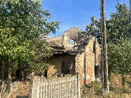 Moara din Rast - Dolj (204)